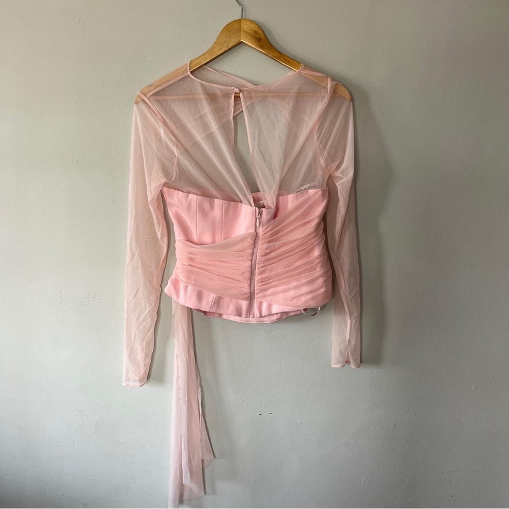 Sheer Mesh Long Sleeve Pink Corset Top - Picture 8 of 9